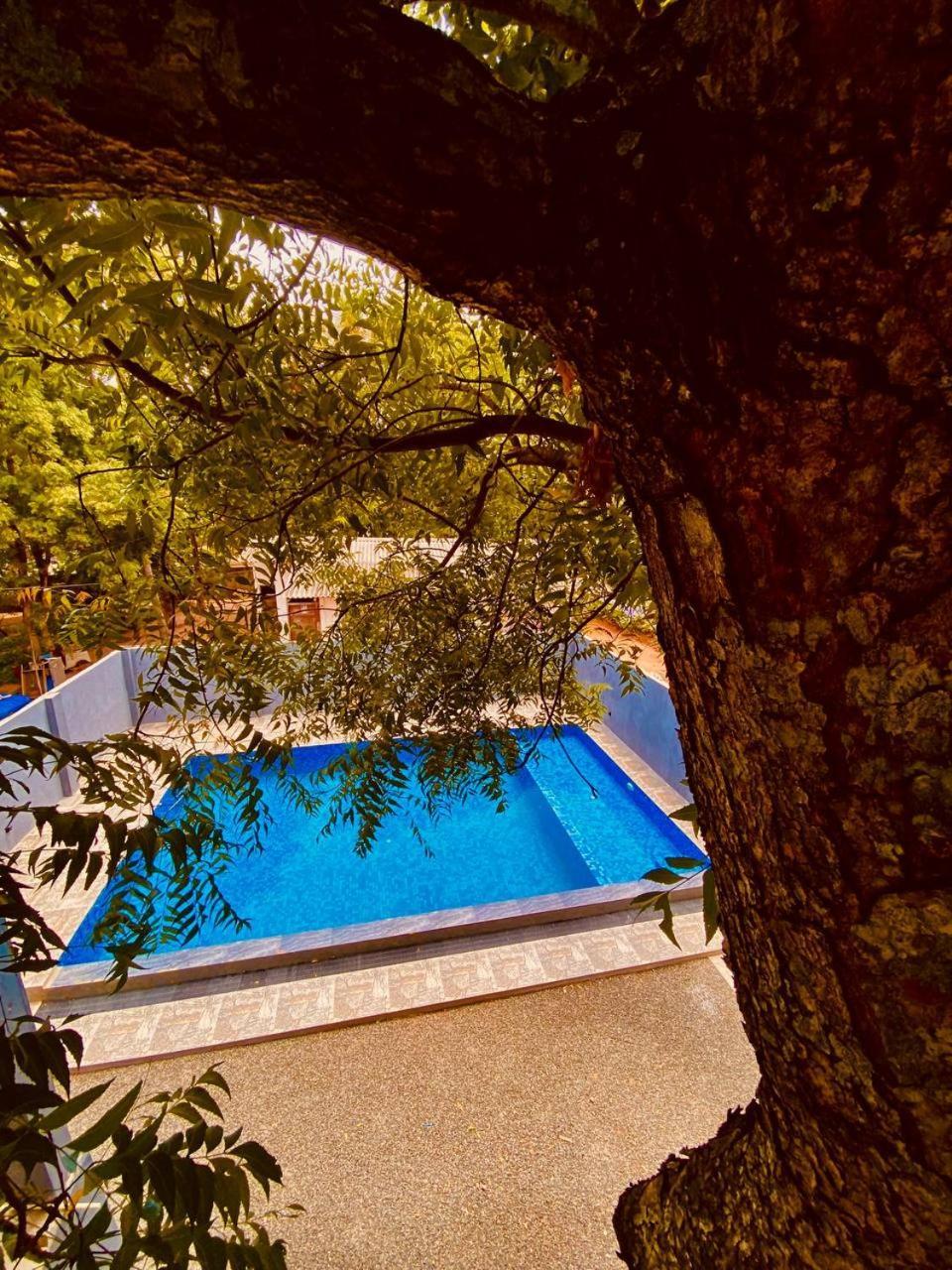 Hotel Coffee House Dambulla Exterior foto